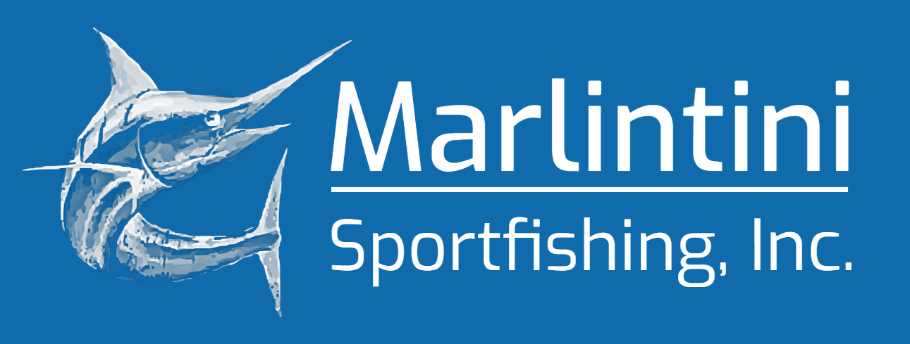 Marlintin Logo 2